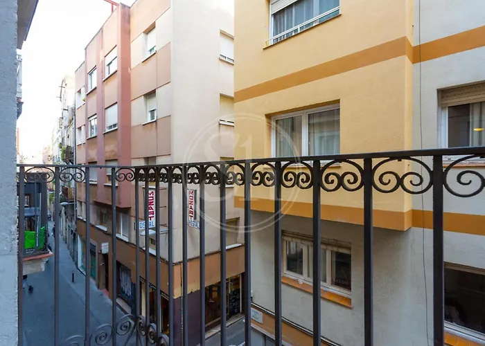 Estudio En Gracia